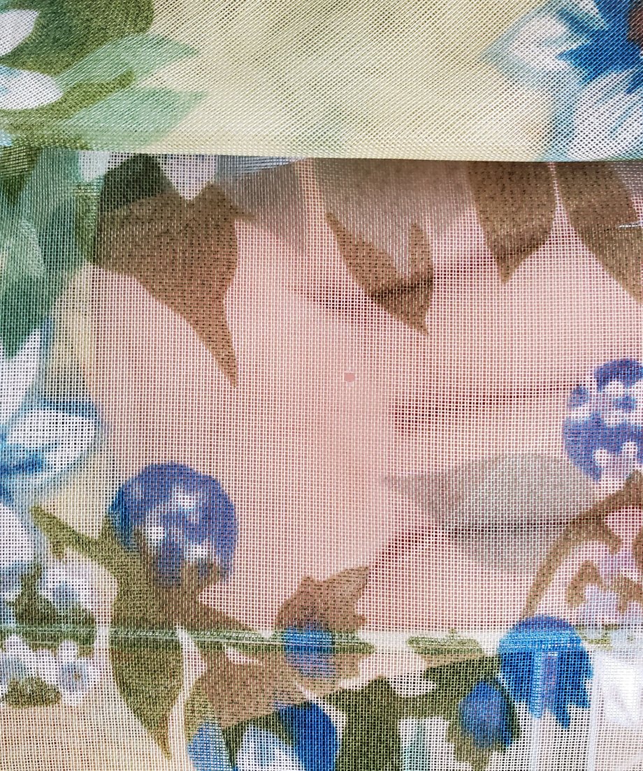 64d5e64af638a10043f0b36d