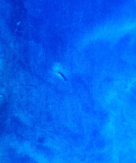 【tiny yearn】1970's Vintage Velvet Maxi Skirt