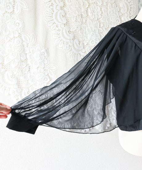 【Seek an nur】Italy Black Sheer Blouse