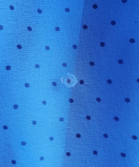 【Seek an nur】Euro Frill Dot Sheer Maxi Dress
