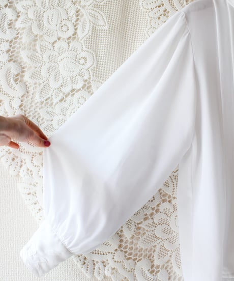 【Seek an nur】White Embroidered Pleats Sheer Blouse