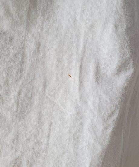 【Seek an nur】1890-10's antique night gown dress
