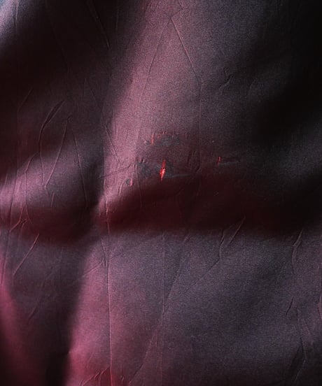 【Seek an nur】Tyrolean Black×Metallic Dirndl Dress