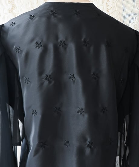 【Seek an nur】Italy Black Sheer Blouse