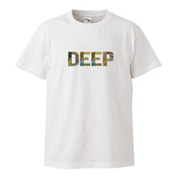 DEEP STANDARD DR - TF03-C