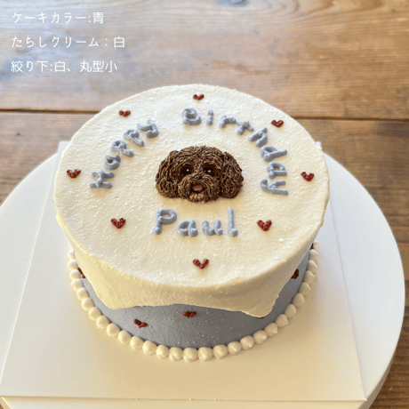 E 垂らしクリームと下絞り付きケーキ見本