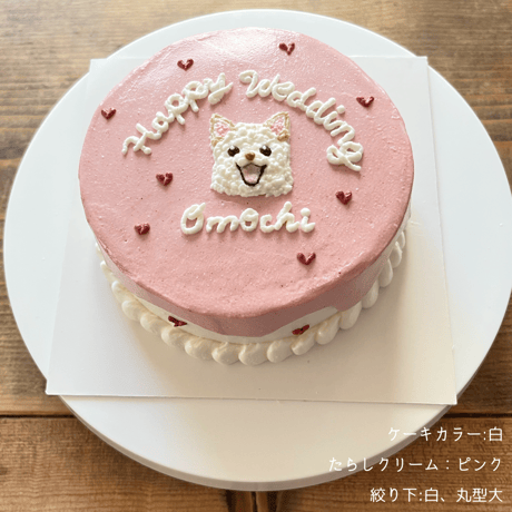 E 垂らしクリームと下絞り付きケーキ見本