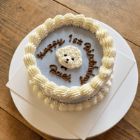 D 上下クリーム絞り付きケーキ見本