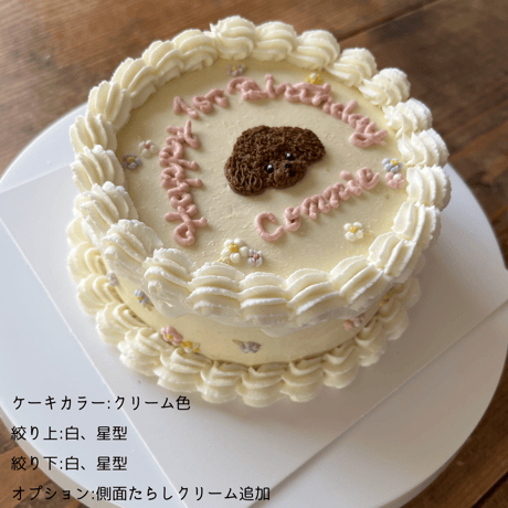 D 上下クリーム絞り付きケーキ見本