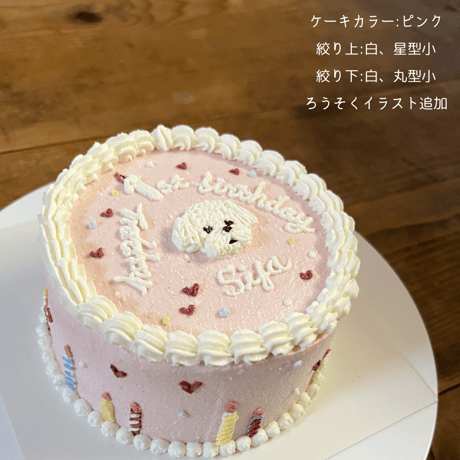 D 上下クリーム絞り付きケーキ見本