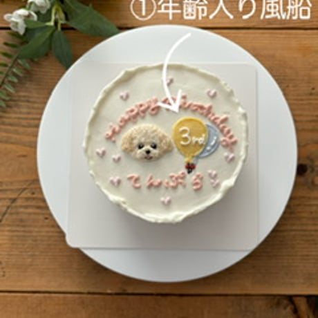 オプション　追加イラスト500円