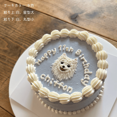 D 上下クリーム絞り付きケーキ見本