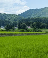 「ひかり」玄米30kg