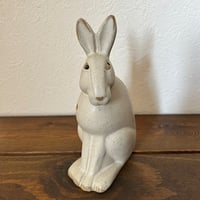 アラビア Fructusシリーズ りんご模様のお皿 20cm 1960年