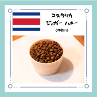 コスタリカ ジャガー ハニー〈中煎り〉100g