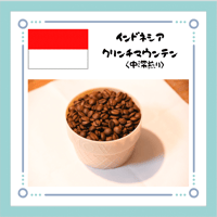 インドネシア クリンチマウンテン〈中深煎り〉100ｇ