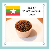ミャンマー ジーニアス レッドハニー〈中煎り〉100g