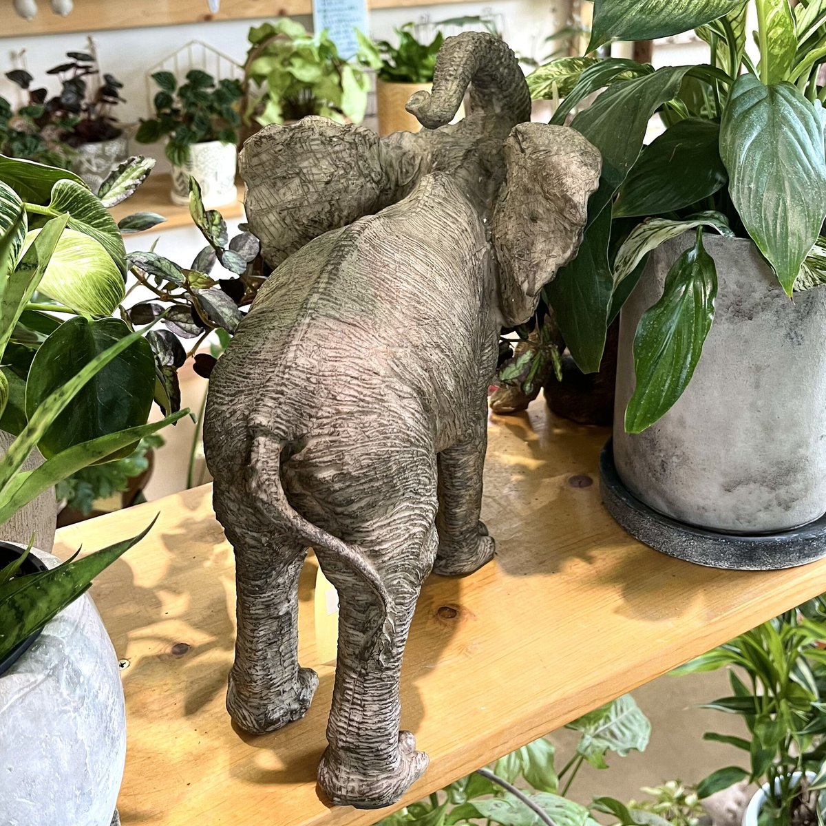 レア‼️巨大‼️本翡翠　象さん　置物　新品6749 レア‼️巨大‼️本翡翠 象さん 置物 新品6749 レア‼️巨大‼️本