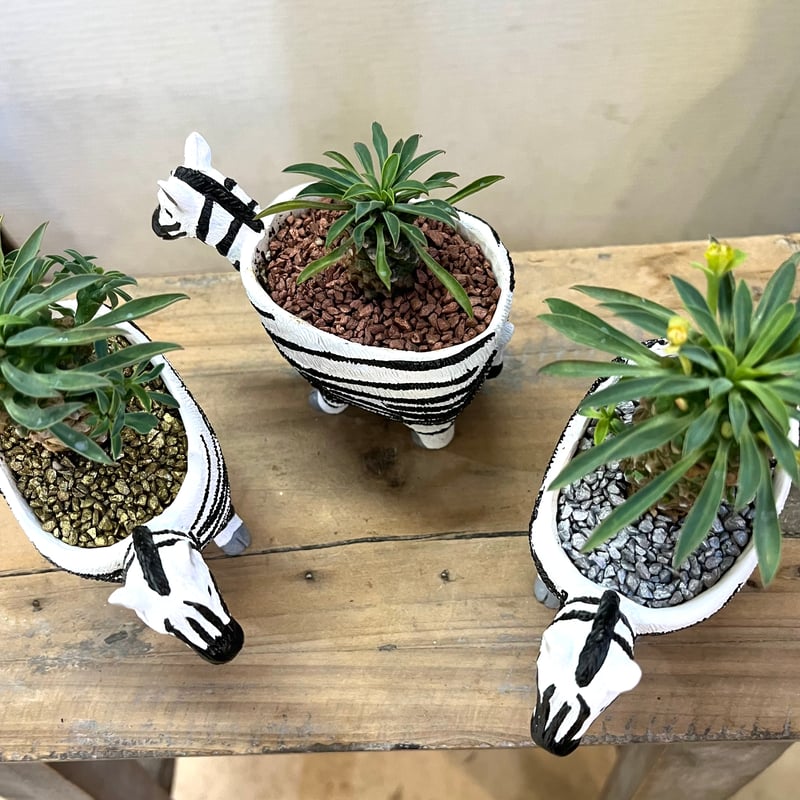 半額セール!!] 化粧土1袋(500g) | かのはのオンラインショップ