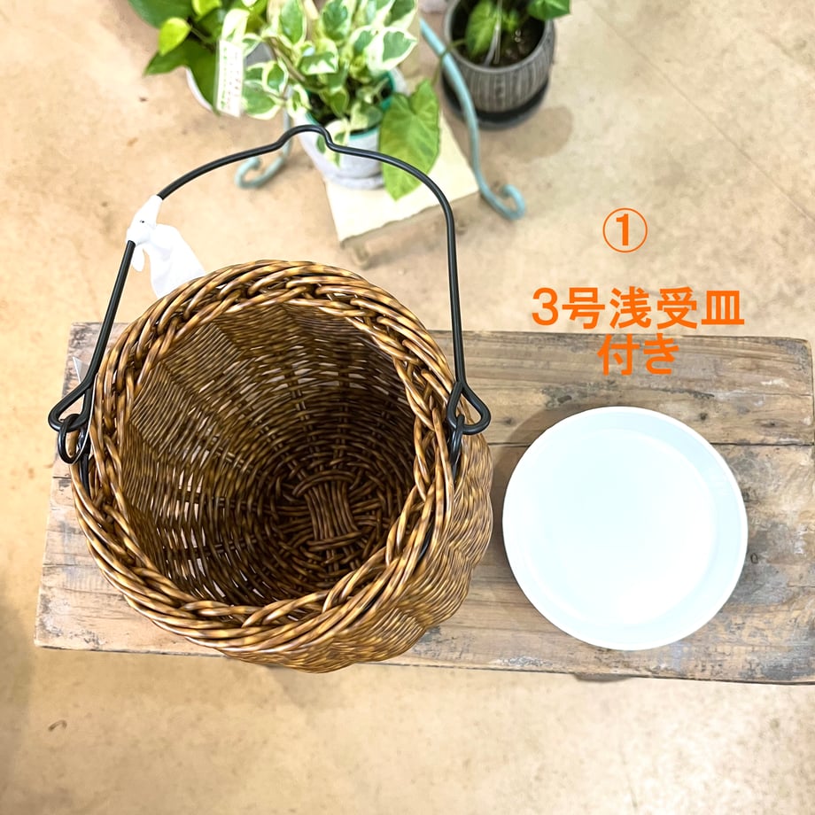65191caafe9350363a01d676