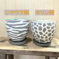 [半額セール!!] 動物柄のプランター（3.5号鉢)