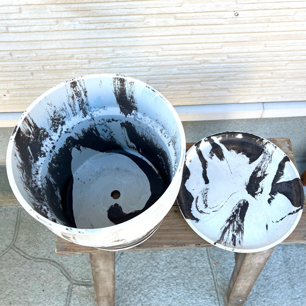 鉢割れ 園芸ライフ Engei life on X