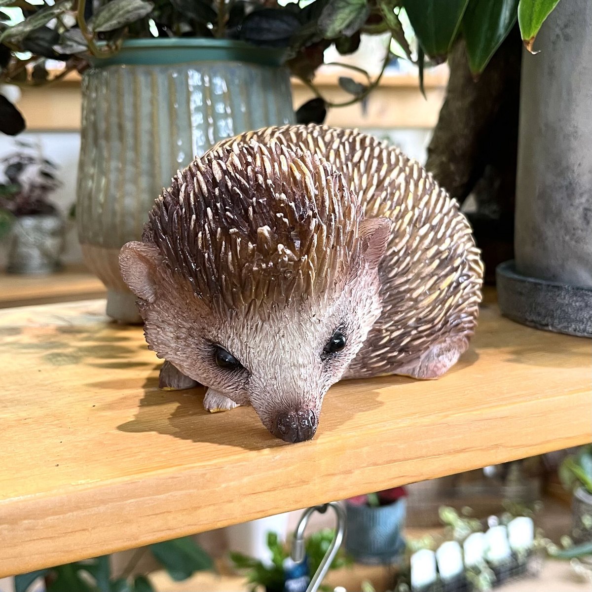 半額セール!!] ハリネズミのガーデンアニマル | かのはのオンライン