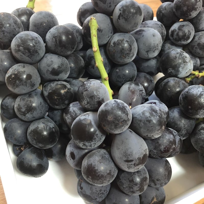 秀品長野パープル2キロ 楽天市場】ぶどう ナガノパープル【秀品】約2kg(3〜5房) R004