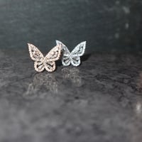 Butterfly Pierces
