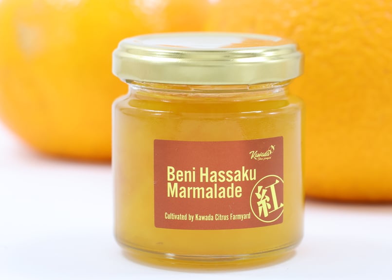 とまとま リリース情報】TOMIX 2025年12月19日(金)発売 EF64 1001、EF65 1001