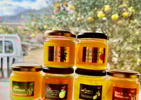 瀬戸内柑橘マーマレードセット(ギフトボックス入り) | kawada citrus