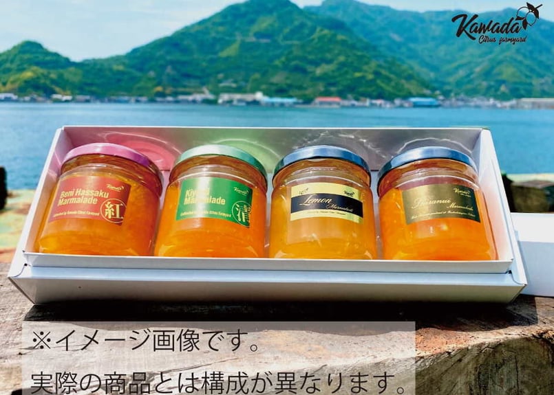 マーー様　セット販売用 Z-DRAGON】 75516 製品制電レディースカーゴパンツ(裏付) [春夏]通販