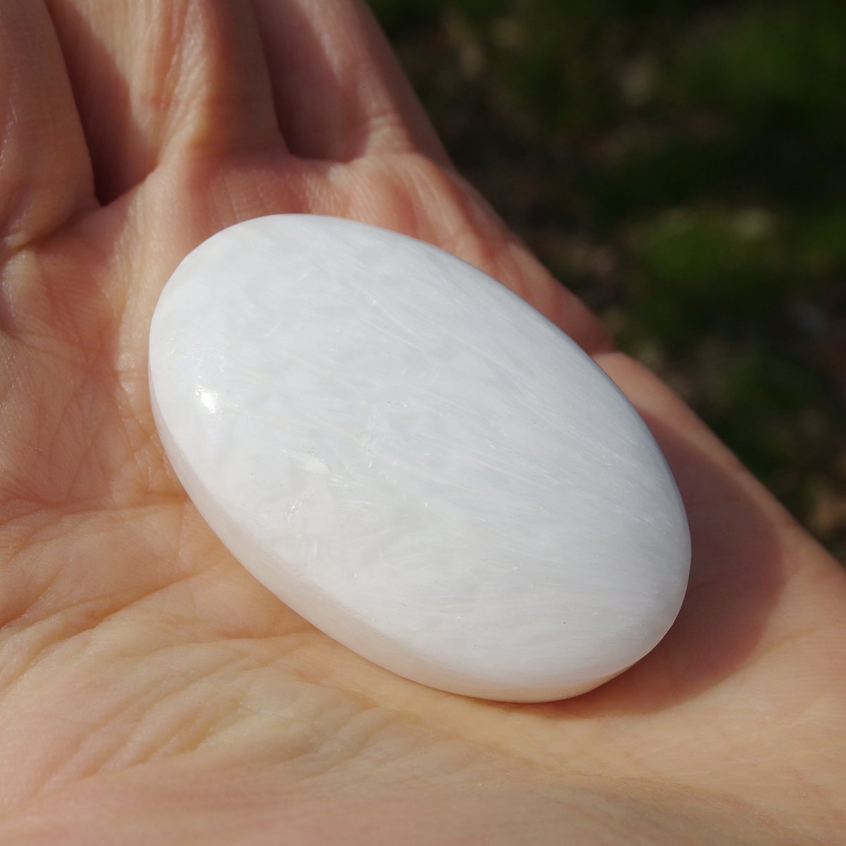 スコレサイト | Crystal Light