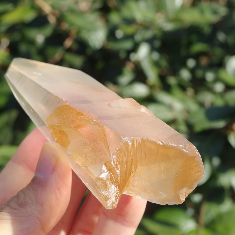 ゴールデンヒーラーレムリアンクリスタル | Crystal Light