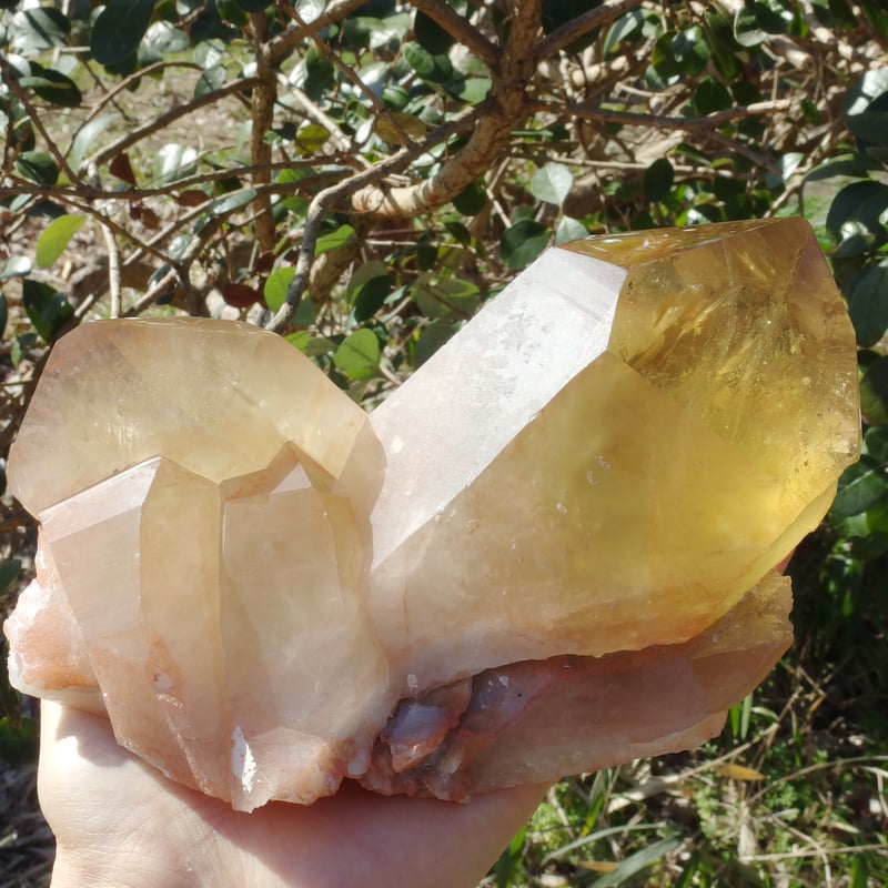 ピンクシトリン（虹入り、セルフヒールド）【特典付き】 | Crystal Light