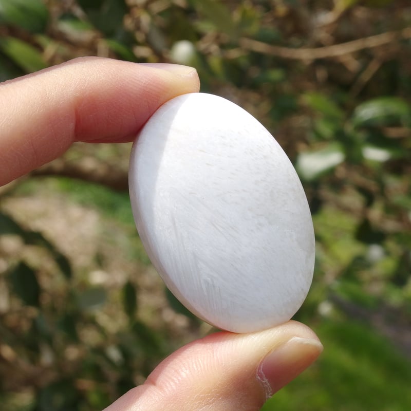 スコレサイト | Crystal Light