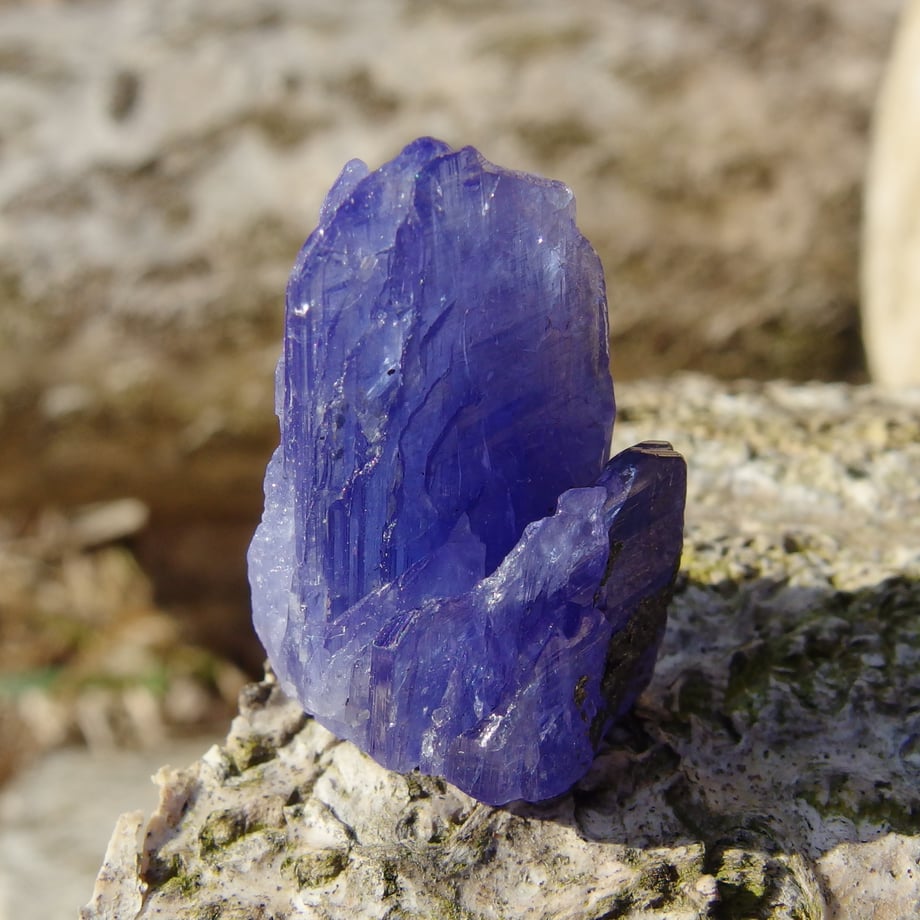 65ccbb15d7cad40d8e97d7c5