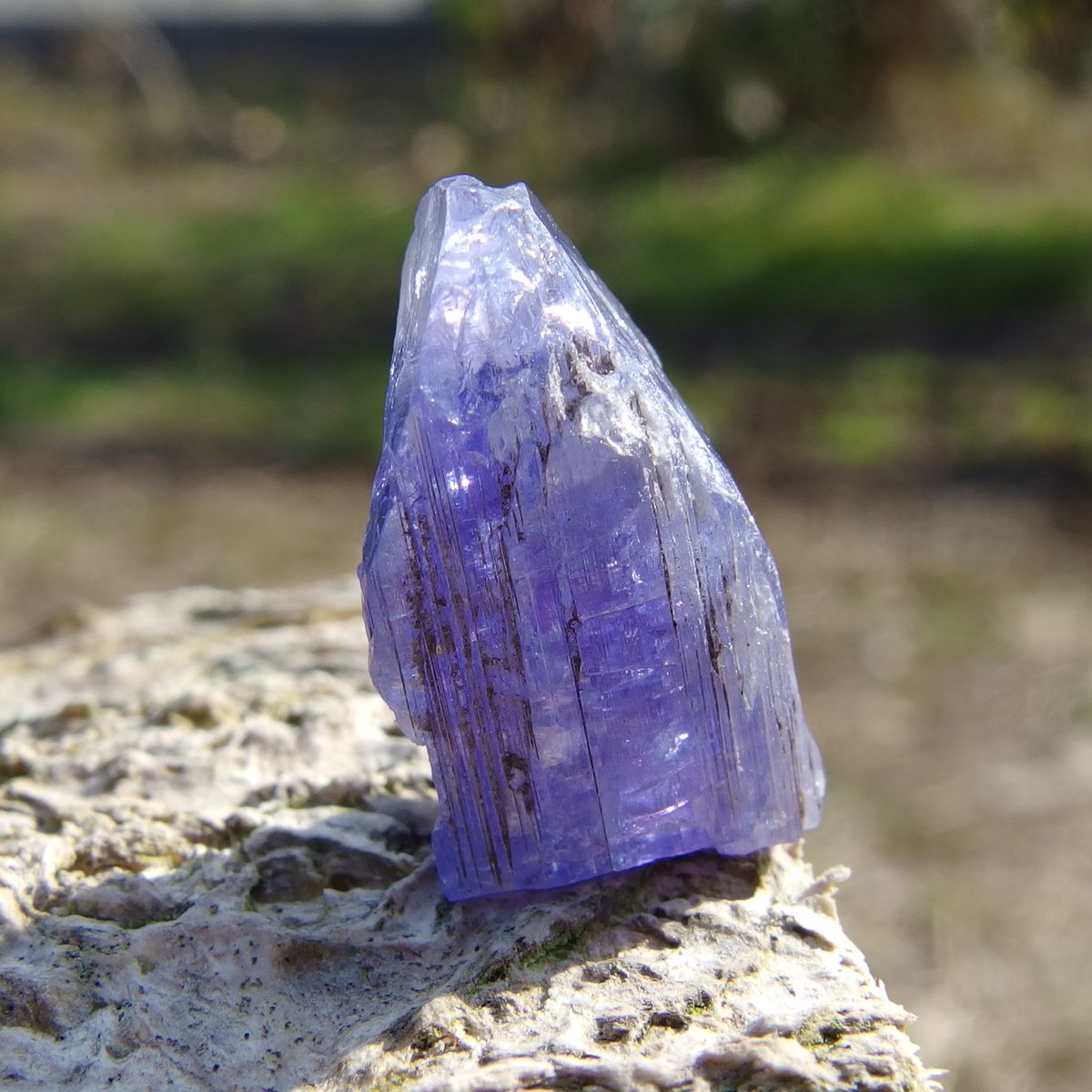 交換無料！ 非加熱タンザナイト原石【特典付き】 | Crystal Light コレクション
