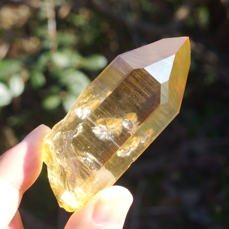 【特典付き】ゴールデンオーラクォーツ（虹入り、パストタイムリンク）