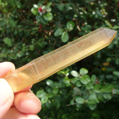 CATEGORY アバンダンス（豊かさ） | Crystal Light