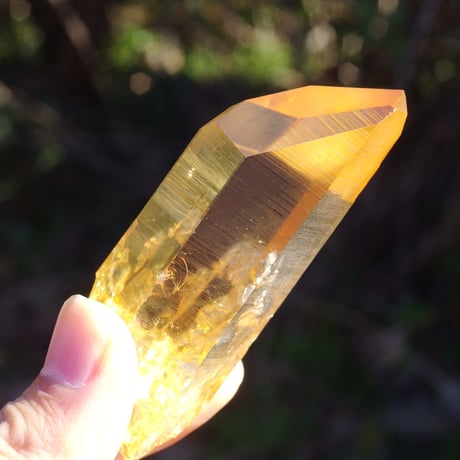 【特典付き】ゴールデンオーラクォーツ（虹入り、パストタイムリンク）