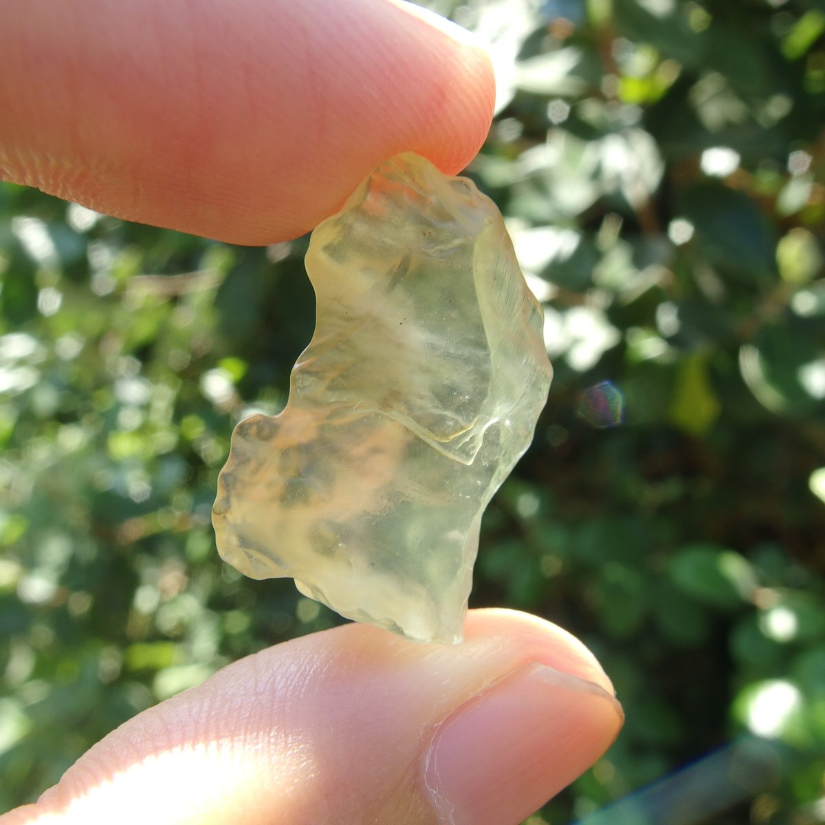 リビアングラス | Crystal Light