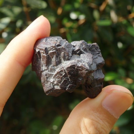 プロフェシーストーン