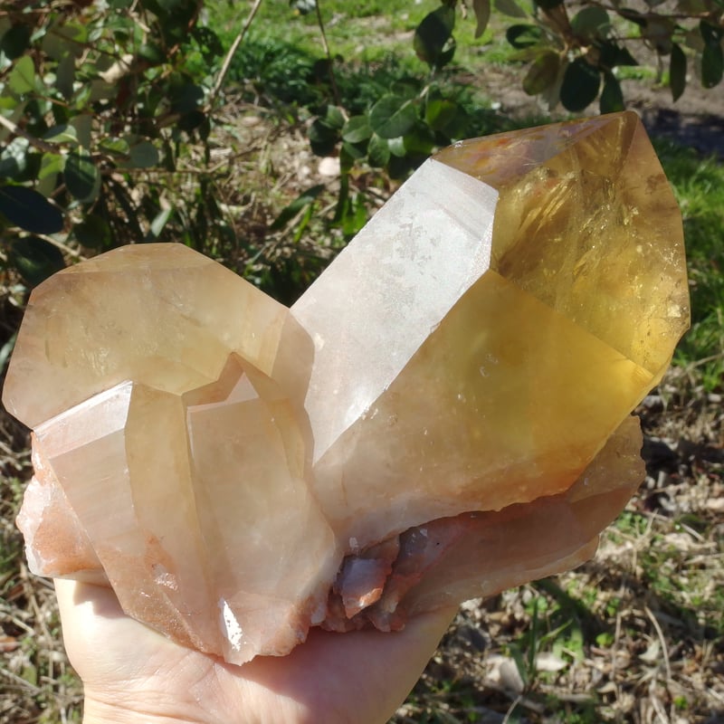 ピンクシトリン（虹入り、セルフヒールド）【特典付き】 | Crystal Light