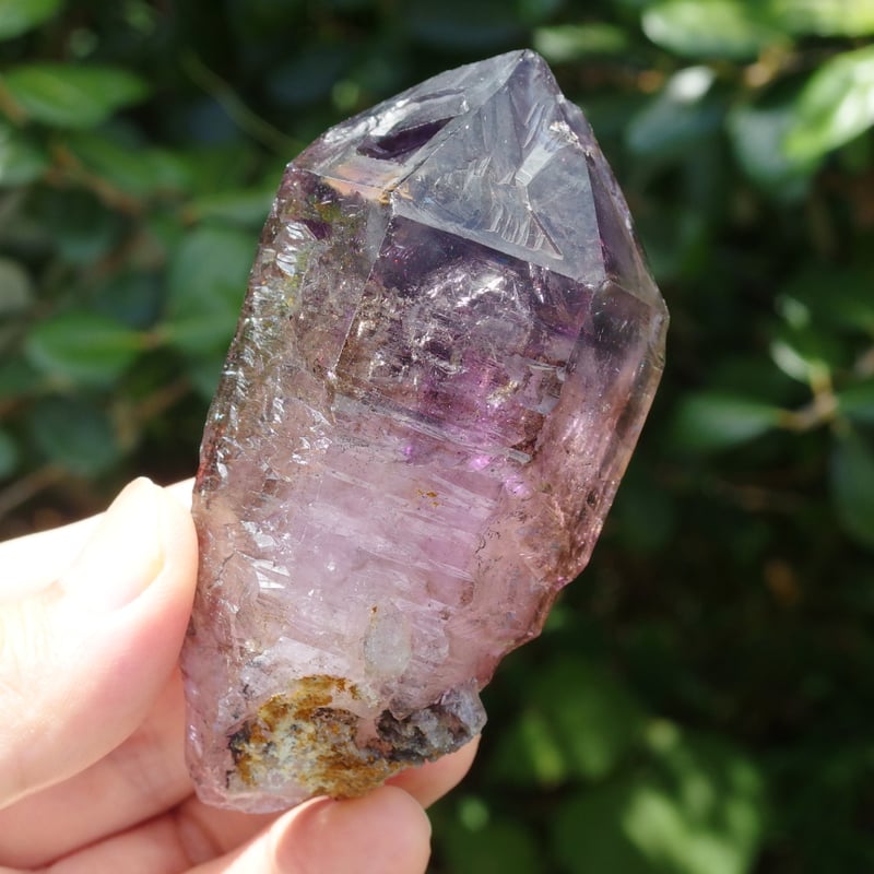 シャンガーンアメジスト（エレスチャル、セプター、ファントム、太古の