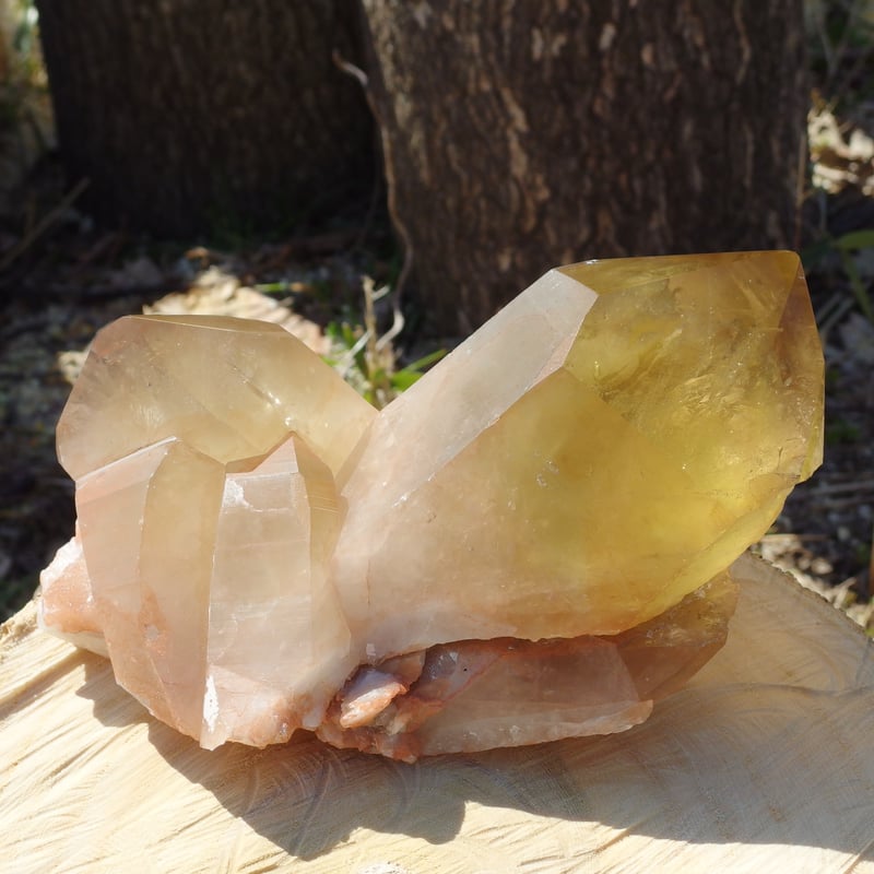 ピンクシトリン（虹入り、セルフヒールド）【特典付き