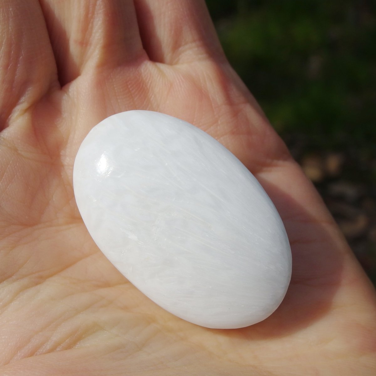 スコレサイト | Crystal Light