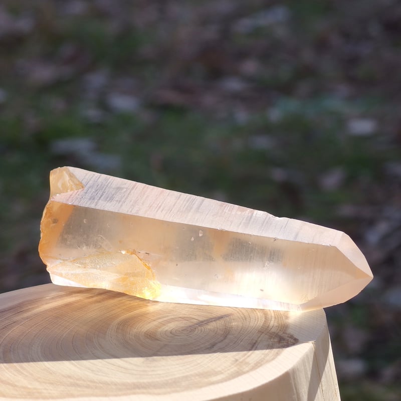 【限定セール】ロシア産ウラルレムリアン エッグ ゴールデンヒーラー ゴールデンヒーラーレムリアンクリスタル | Crystal Light