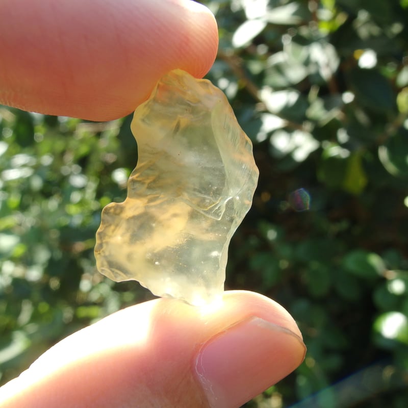 リビアングラス | Crystal Light