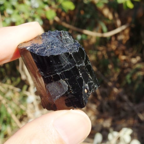 ブラックトルマリン